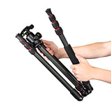 Hama Ramble II Duo - Trípode para cámara 2 en 1 y Soporte para teléfono móvil con Soporte para teléfono móvil, trípode Estable y Ligero de Carbono, trípode para Fotos de 3 Posiciones Extensible máx.