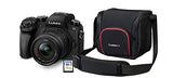 Panasonic Lumix Sistema de cámara (16MP, vídeo 4 K, 7,5 cm (3 Pulgadas) Pantalla táctil, WiFi, NFC), Color Negro