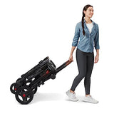 Radio Flyer Voya Stroller Wagon, Cochecito Doble, 2 Asientos Altos Cara a Cara, toldo Ajustable con protección UV, Bandeja para Aperitivos, Gris