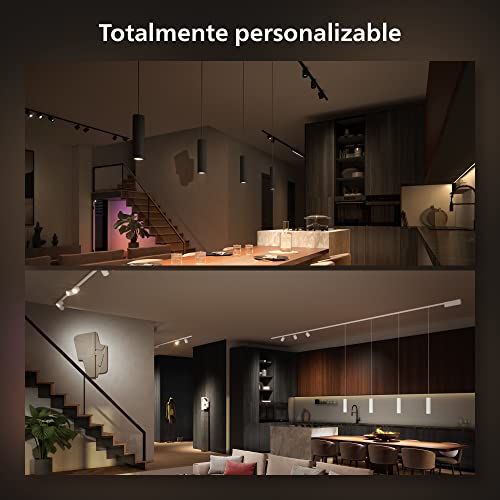 Philips Hue - Kit Perifo Iluminación en carril Luz Blanca y de Colores - Set base de pared (negro) de 200cm con 2 focos y tubo de luz Gradient - Anclajes incluidos