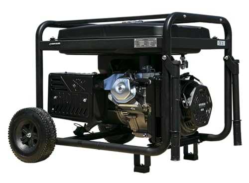 Hyundai HY10000LEK Generador Gasolina (Monofásico)