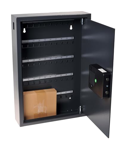 Pavo - Armario de llaves de alta seguridad para 50 llaves/Caja fuerte para llaves/Dimensiones: 550 x 380 x 100 mm / Incluye 50 llaveros