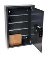 Pavo - Armario de llaves de alta seguridad para 50 llaves/Caja fuerte para llaves/Dimensiones: 550 x 380 x 100 mm / Incluye 50 llaveros