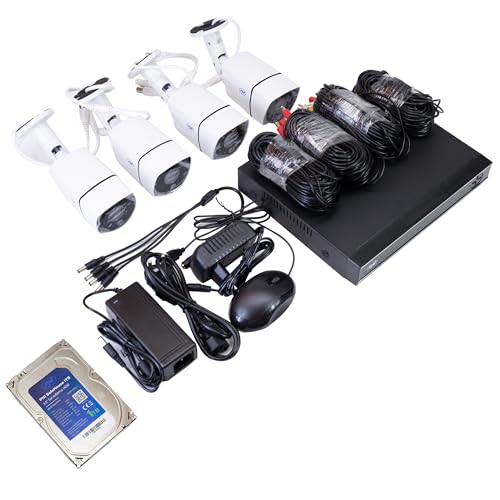 PNI House PTZ1300 - Kit de videovigilancia AHD Full HD, con 4 cámaras de 2 MP, 1080P para Exteriores y PNI SafeHouse de 1 TB Incluidas