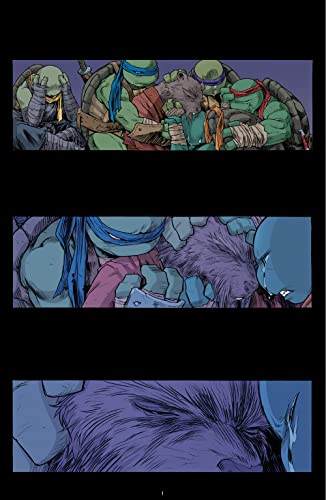 Teenage Mutant Ninja Turtles: The IDW Collection Volume 14 (TMNT IDW Collection)
