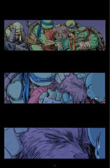 Teenage Mutant Ninja Turtles: The IDW Collection Volume 14 (TMNT IDW Collection)