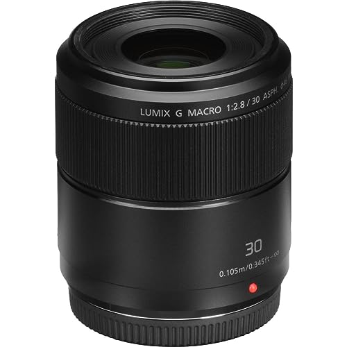 Panasonic LUMIX G Macro, 30 mm, F2.8 ASPH, MIRRORLESS Micro Cuatro TERCEROS, Mega Optical I.S, H-HS030 (USA Black)