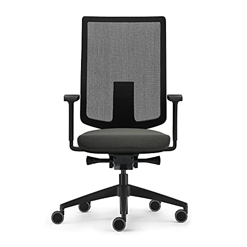 Sedus, Se:do Pro Light 2 - Silla de Oficina ergonómica con Membrana de Malla, Color Antracita, Altura Regulable