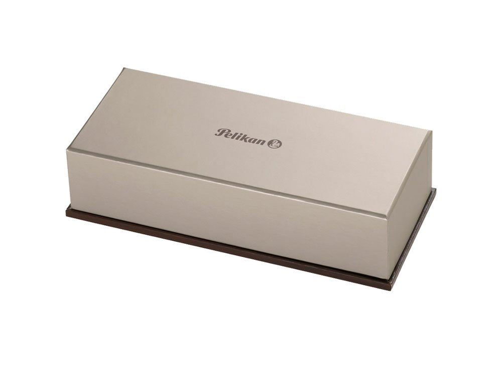 Pelikan Souverän M600 - Pluma en punto de escritura EF, multicolor