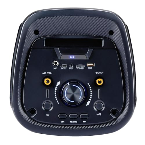 Altavoz Bluetooth con micrófono - Caja de música con iluminación Ambiental - Caja de Fiesta y micrófono de Karaoke - Soundboks con Bluetooth, entradas AUX y USB - Fácil de Transportar con asa - Negro
