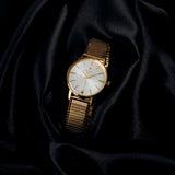 Festina Reloj Hombre F20251/1 Special Prices Caja de Acero Inoxidable 316l Dorado Correa de Acero Inoxidable 316l Plateado