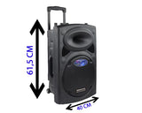 DYNASONIC - Dynapro 12’ (Segunda Generación) Altavoz portátil Sistema Audio Profesional Potencia 700W - USB Bluetooth Radio FM Micrófonos, Negro - Soporte para Dispositivos movil y Tablet