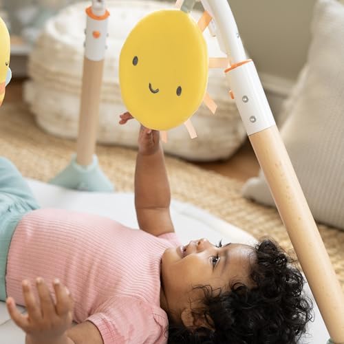 Ingenuity Tummy-to-Toes 6-in-1 Milestone Center Juguete para bebé, Multicolor, 0-48 Months (up 26lbs) (Kids2, Inc. 16904)