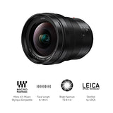 Panasonic LEICA DG VARIO-ELMARIT H-E08018 - Objetivo Gran angular para cámaras de montura M4/3 (Focal 8-18 mm, F2.8-F4, lentes asféricas, tamaño filtro 67 mm, resistente agua/polvo/congelación), negro
