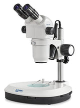 Estéreo Zoom Microscopio [Núcleo ozo 552] Tubo: Binocular, ocular: hswf 10 x 23 mm, campo de visión: ø28,75 – 3,3 mm, objetivo: 0,8 x – 7 x, soporte: columna, iluminación: 3 W LED (reflejada)