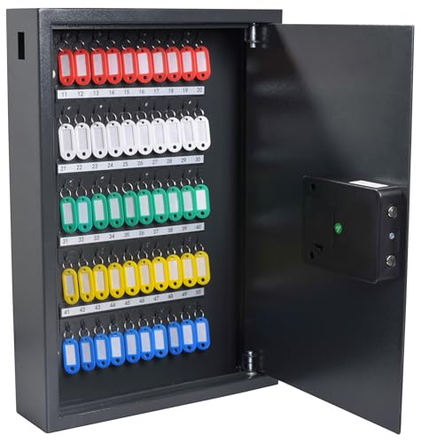 Pavo - Armario de llaves de alta seguridad para 50 llaves/Caja fuerte para llaves/Dimensiones: 550 x 380 x 100 mm / Incluye 50 llaveros