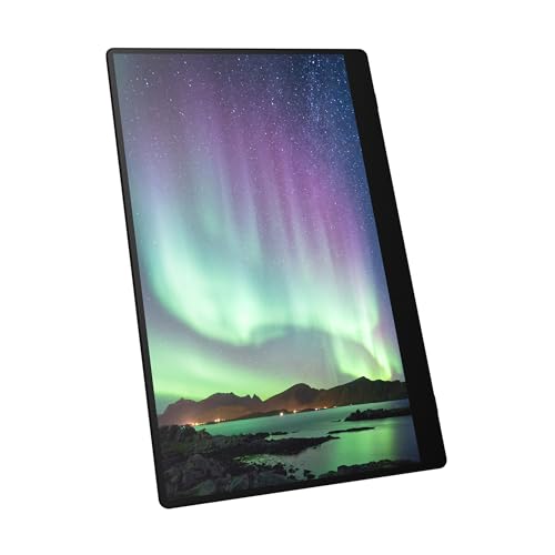 Ricoh Monitor portátil inalámbrico 150BW de 15,6 Pulgadas, 1920 x 1080, OLED, USB C, Ligero con Pantalla táctil y 2 Altavoces Integrados, Pantalla portátil Externa para Ordenador portátil/PC/teléfono