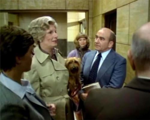 Lou Grant - die komplette 114-teilige preisgekrönte Kult Reporter Serie mit Edward Asner (Pidax Serien-Klassiker) zzgl. Bonus Krimi DVD [21 DVDs] [Collector's Edition]