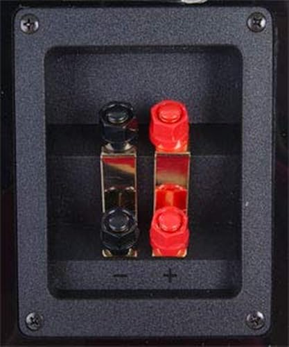 Yamaha NS-555 - Altavoz de pie, 3-way, 6 Ohmio, 160 mm, 25 mm, 100 W, 1 unidad