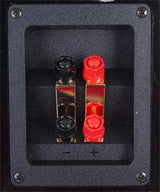 Yamaha NS-555 - Altavoz de pie, 3-way, 6 Ohmio, 160 mm, 25 mm, 100 W, 1 unidad