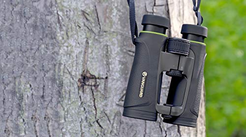 Vanguard Endeavor ED IV 8420 - Prismáticos ED 8x42