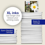 Epson C13T18164022 - Cartucho de Tinta