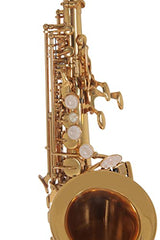 Roy Benson Saxofón Soprano Sib SG-302 (Premium Brass Design, con arco ergonómico RND S-Bow, llave Fa# agudo, almohadilla PISONI, estuche ligero para transporte, con juego de mochila)