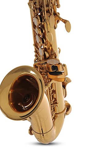 Roy Benson Saxofón Soprano Sib SG-302 (Premium Brass Design, con arco ergonómico RND S-Bow, llave Fa# agudo, almohadilla PISONI, estuche ligero para transporte, con juego de mochila)