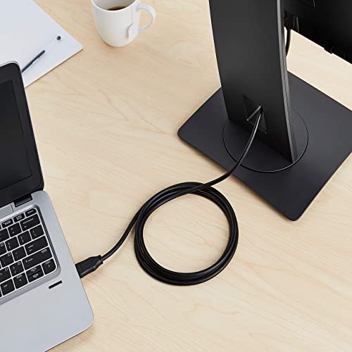 Amazon Basics Cable de DisplayPort a DVI, 1.8 m, 10 Unidad, 15 m, Negro