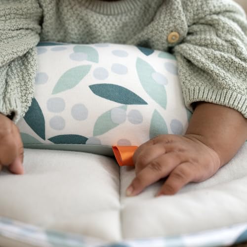 Ingenuity Tummy-to-Toes 6-in-1 Milestone Center Juguete para bebé, Multicolor, 0-48 Months (up 26lbs) (Kids2, Inc. 16904)