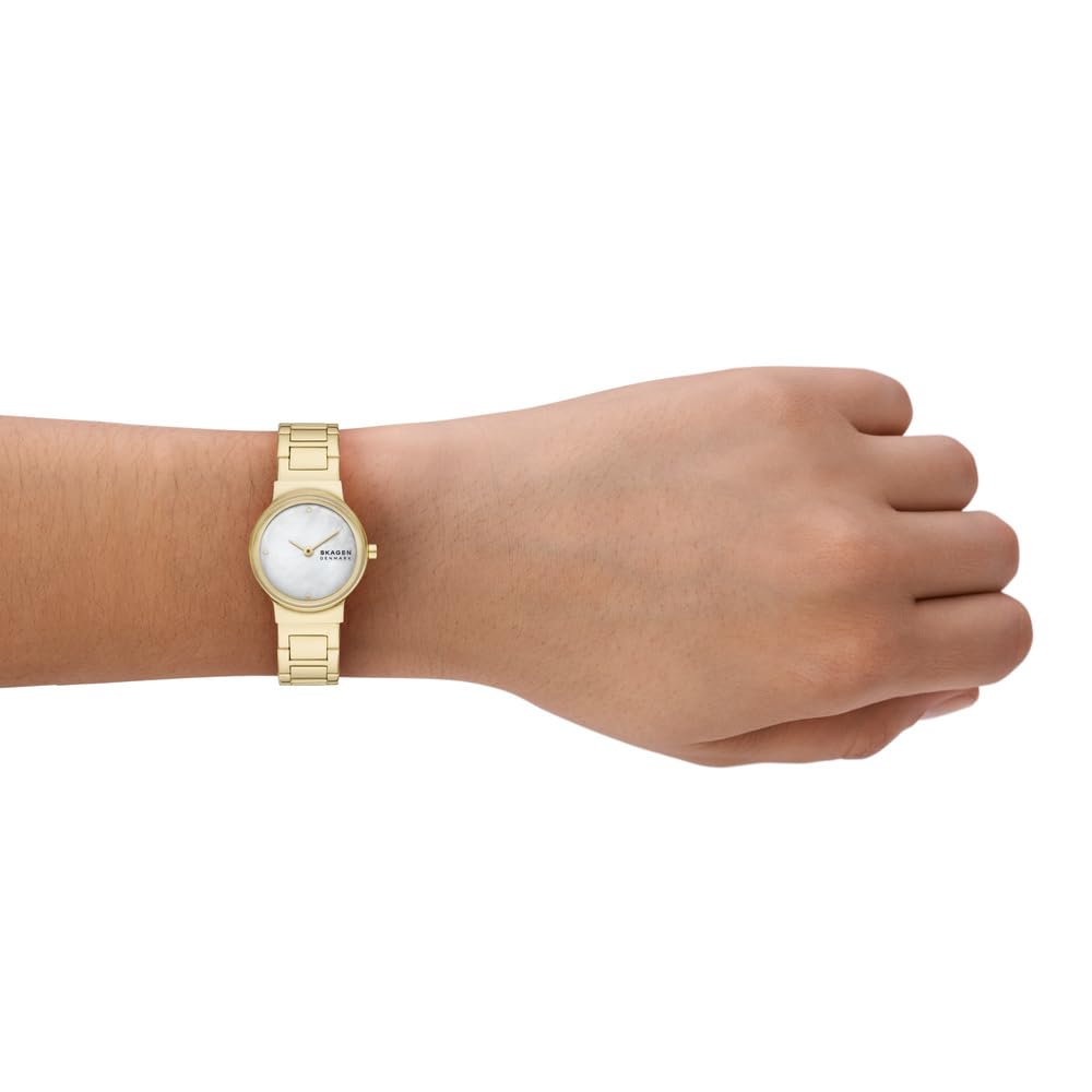 Skagen Reloj Analógico para Mujer de Cuarzo con Correa en Acero Inoxidable SKW3167