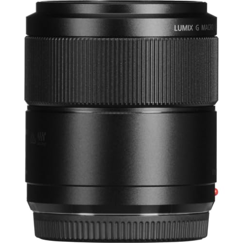 Panasonic LUMIX G Macro, 30 mm, F2.8 ASPH, MIRRORLESS Micro Cuatro TERCEROS, Mega Optical I.S, H-HS030 (USA Black)