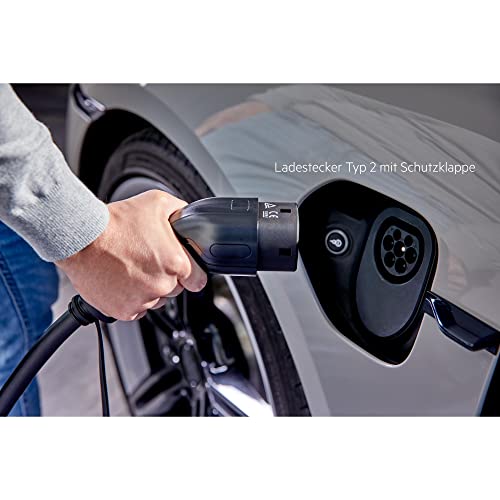 AEG Wallbox WB 22 FI - Estación de Carga para Coche eléctrico o híbrido, 22 kW, 400 V, con Interruptor FI Tipo B, 3 Fases, Cable de Carga de 5 m, Tipo 2 enchufes, IP 45, indicador LED de Estado