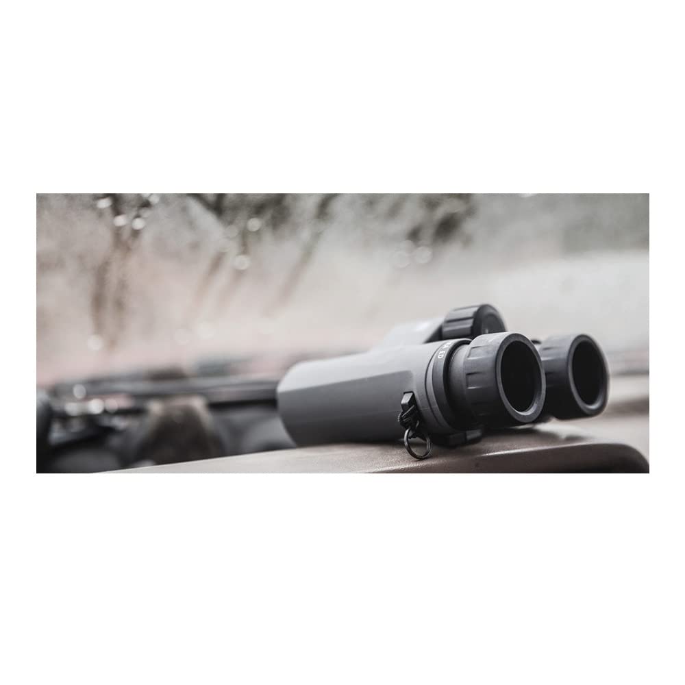 Zeiss Terra ED 10x42 Prismáticos para Caza, observación de Aves, al Aire Libre, Viajes, Gris
