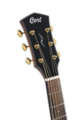 Cort Gold D6 Western Guitar