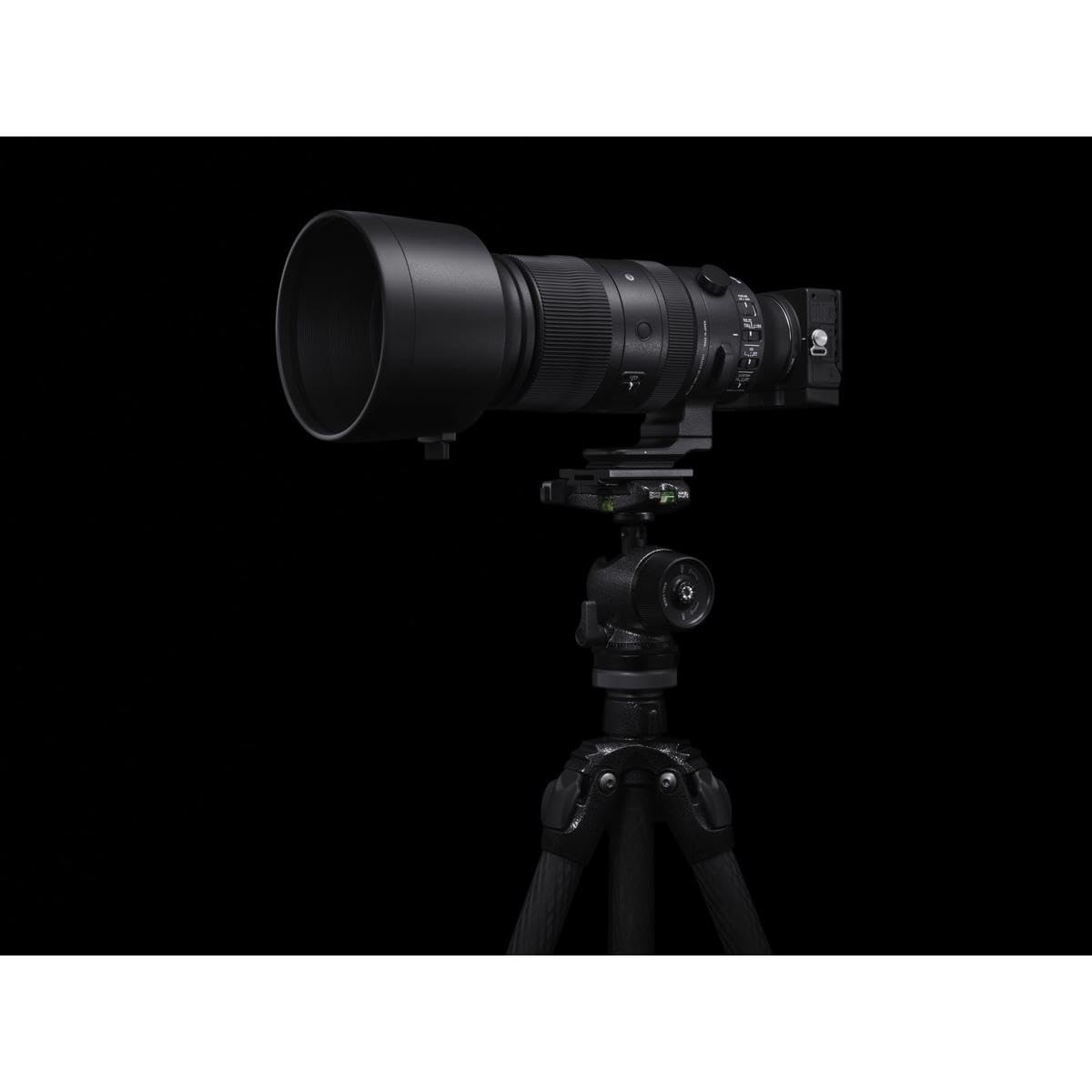 Sigma 60-600 mm F4.5-6.3 DG DN OS para Sony E Mount