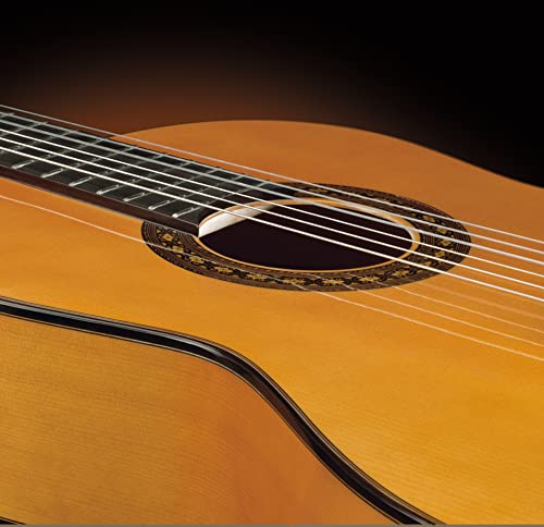 ARTESANO Guitarra flamenca, flamenco S