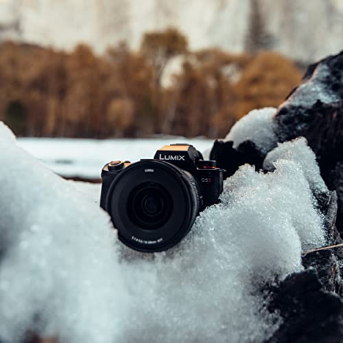 Panasonic LUMIX DC-S5 II, Cámara Sin Lente De Marco Completo, Sin Espejo,4K 60P y 6k 30P Grabación, Pantalla Movible, Wi-Fi, Phase Hybrid AF 779 Puntos, IS Activo, Negro