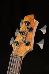 CORT A5 Plus SC (Regular Scale)