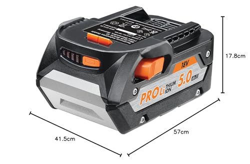 AEG BEWS18-125BLLI-502C Amoladora 18V sin escobillas 125mm con Interruptor 11.000rpm 2X 5.0Ah en Maleta, Na