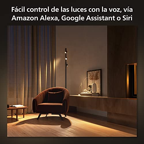 Philips Hue - Kit Perifo Iluminación en carril Luz Blanca y de Colores - Set base de pared (negro) de 200cm con 2 focos y tubo de luz Gradient - Anclajes incluidos