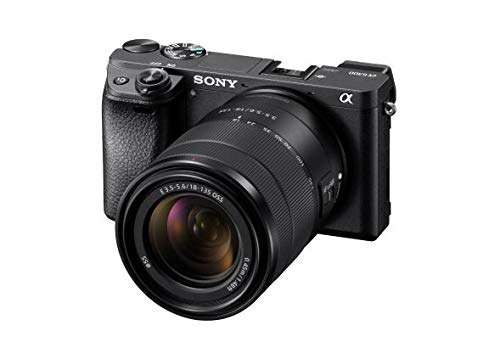 Sony Lente de Zoom de Montaje E APS-C de 18-135 mm F3.5-5.6 OSS