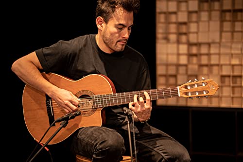NYLON 6-STR. GUITAR ORTEGA