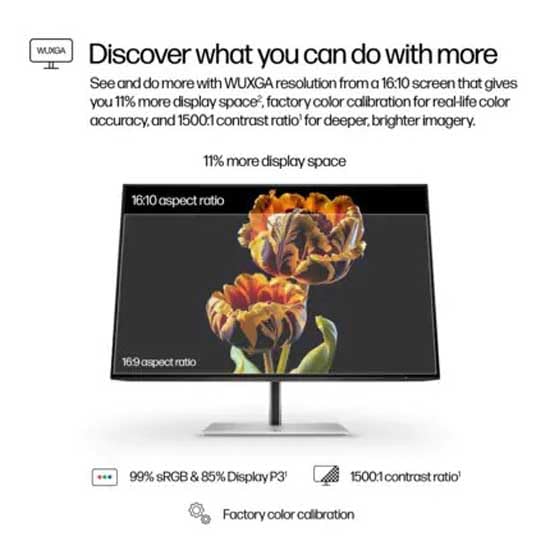 Hp Monitor 724pn WUXGA 24" 100 Hz
