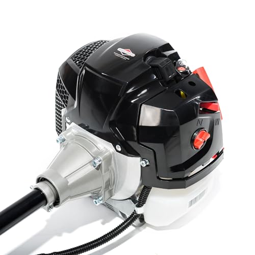 NAX Power Products 600B Motor 42,7 cm3 1,2 kW Briggs & Stratton Producto con Licencia, desbrozadora de Hierba, Recortadora Manual, nax600b