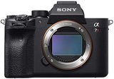 Cámara Evil Sony Alpha 7R IV Cuerpo