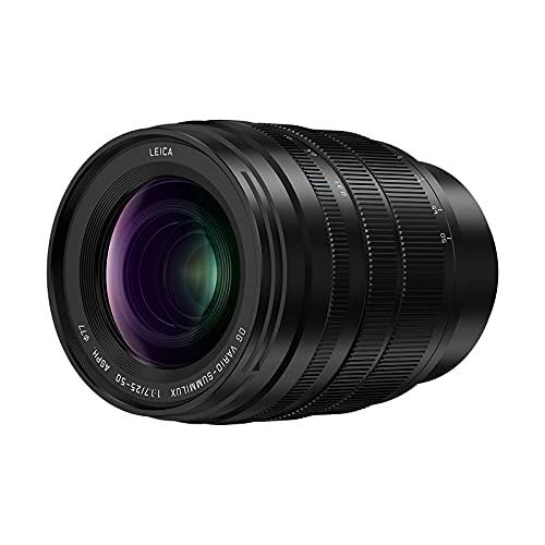 Panasonic Lumix H-X2550E Leica DG - Objetivo de Zoom (25-50 mm (KB: 50-100 mm), F1.7, protección contra el Polvo, protección contra Salpicaduras, protección contra el frío, Color Negro