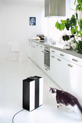 Stadler Form Robert-Humidificador, 30 W, Negro, Color Blanco