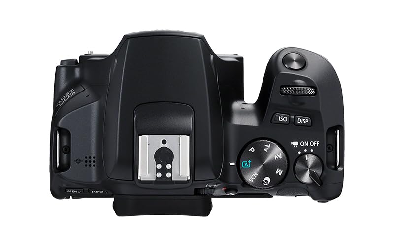 Canon EOS 250D - Cámara Digital (24,1 MP, 6000 x 4000 Pixeles, CMOS, 4K Ultra HD, Pantalla táctil) Negro - Kit con Cuerpo y EF-S 18-55IS STM