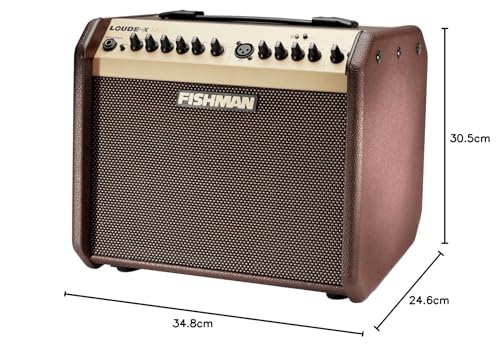 FISHMAN Verstärker Loudbox Mini, 60W, Bluetooth, 305 x 349 x 247mm, 8,90 kg